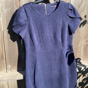Calvin Klein Dress